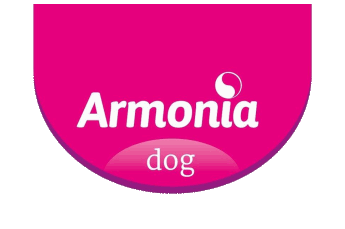 Armonia Dog